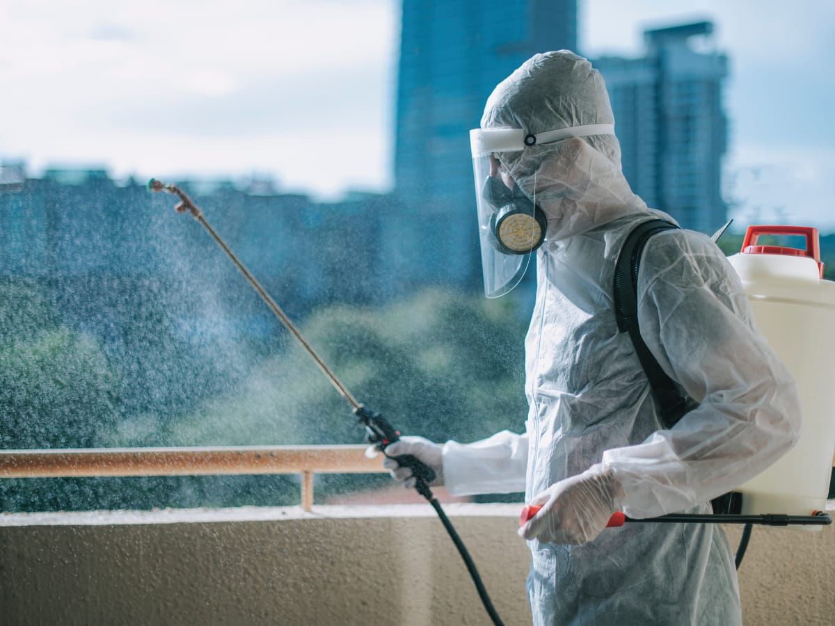 Pest Control